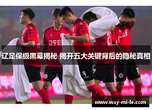 辽足保级黑幕揭秘 揭开五大关键背后的隐秘真相
