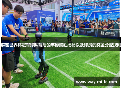 解密世界杯冠军球队背后的丰厚奖励揭秘以及球员的奖金分配规则