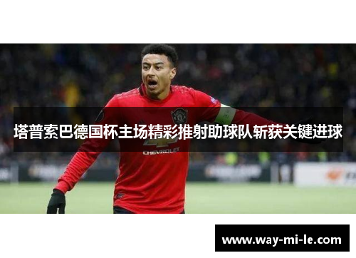 塔普索巴德国杯主场精彩推射助球队斩获关键进球