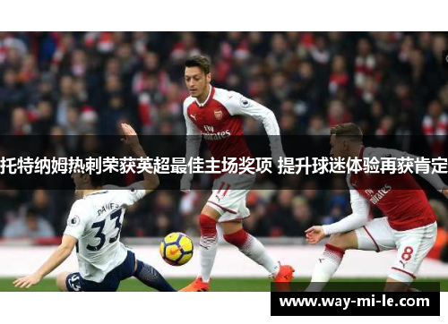 托特纳姆热刺荣获英超最佳主场奖项 提升球迷体验再获肯定