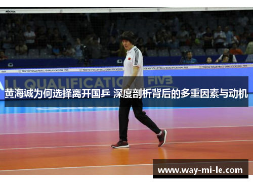 黄海诚为何选择离开国乒 深度剖析背后的多重因素与动机