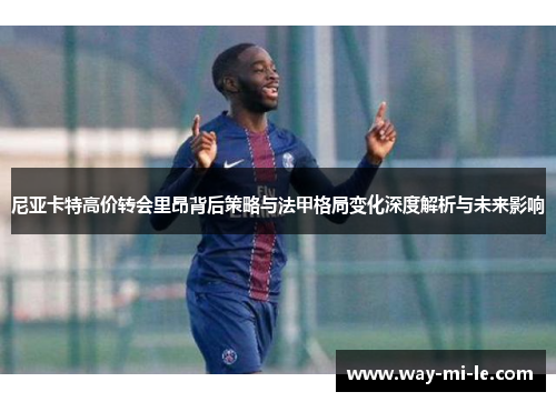 尼亚卡特高价转会里昂背后策略与法甲格局变化深度解析与未来影响 尼亚卡特高价转会里昂背后策略与法甲格局变化深度解析与未来影响